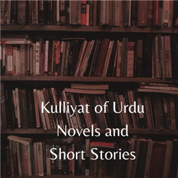 उर्दू उपन्यासोंक और कहानियों के कुल्लियात