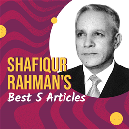 Humour: Shafiqur Rahman's 5 best Articles