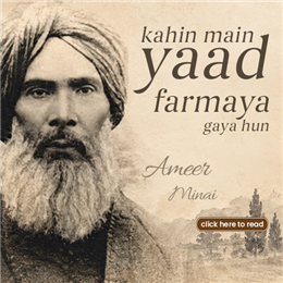 کہیں میں یاد فرمایا گیا ہوں: امیر مینائی
