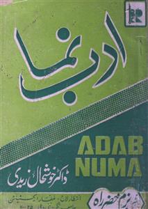 Adab Numa
