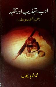 Adab, Tahzeeb aur Tanqeed
