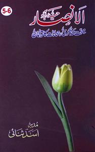 Al Ansar Jild 5 Kitab 5-6 2007-2008 AY2K-Shumara Number-005,006