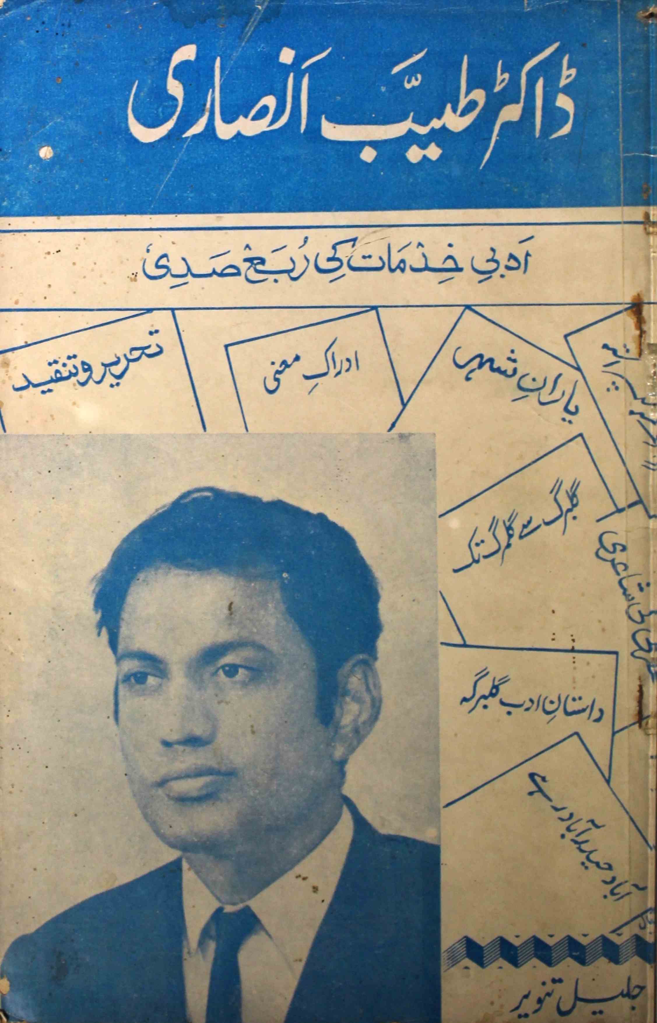 ڈاکٹر طیب انصاری (ادبی خدمات کی ربع صدی)