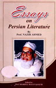 Essays on Persian Literature