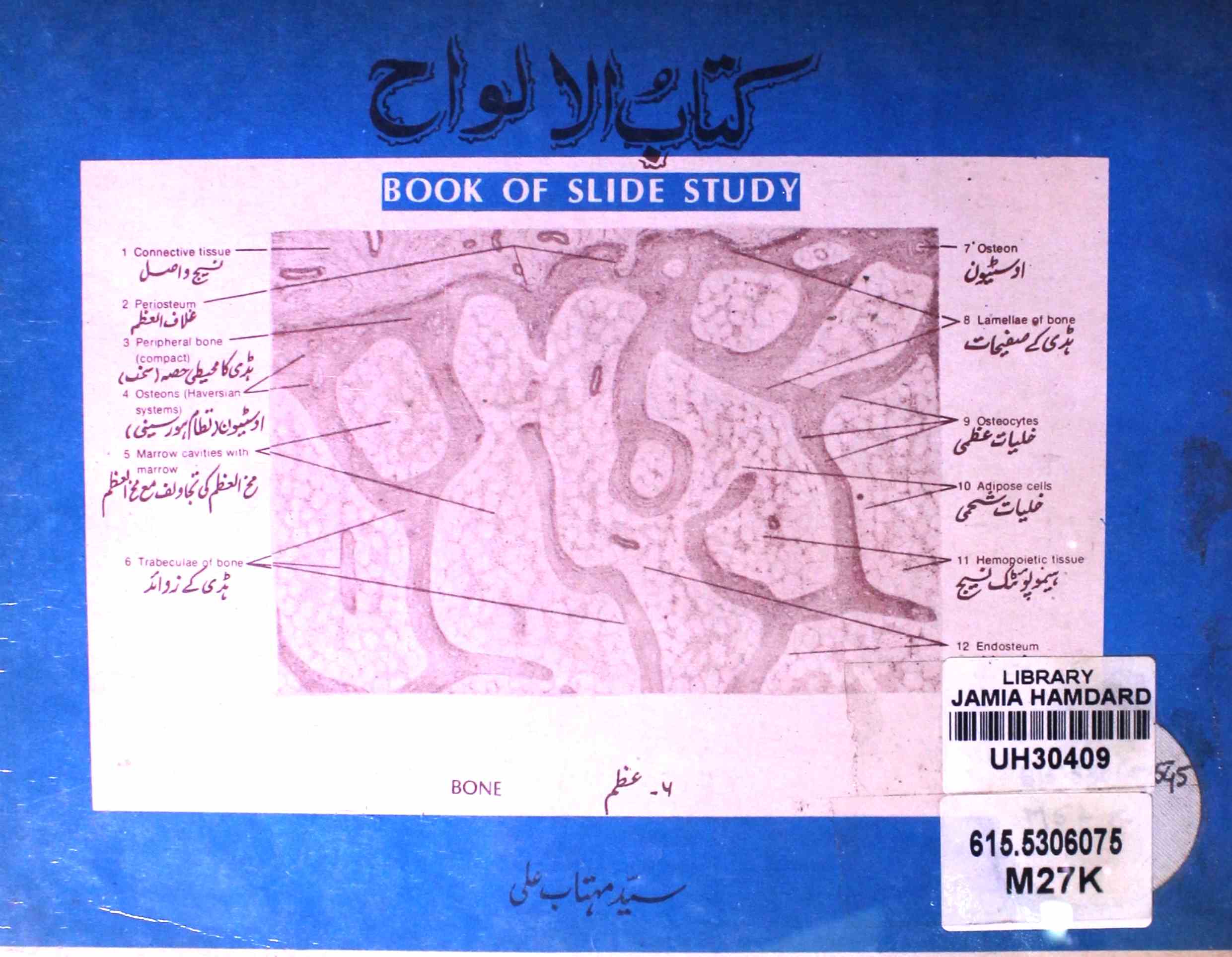 Kitab-ul-Alwah