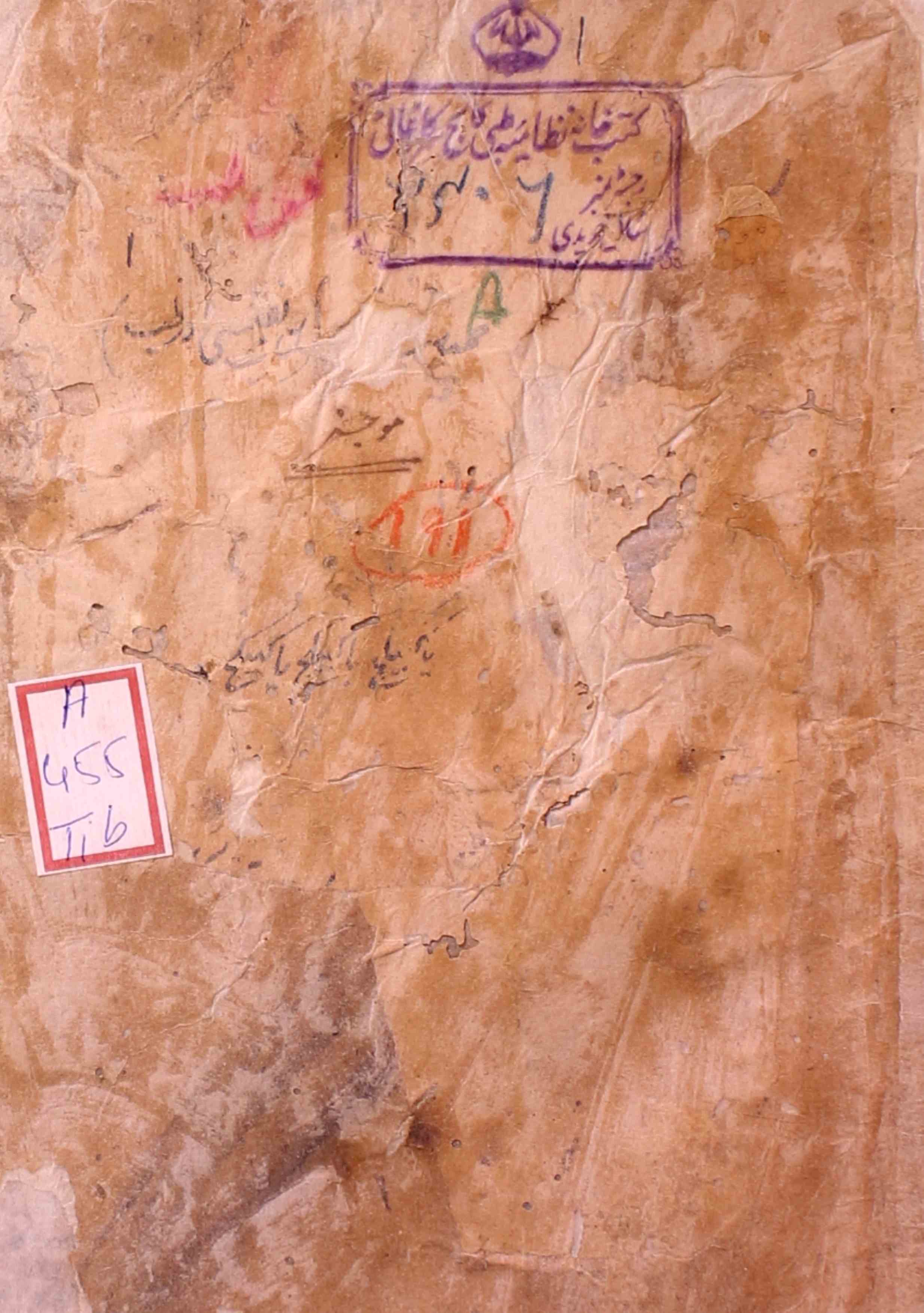 Mauj Dar Tib