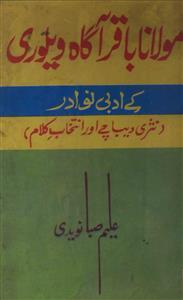مولانا باقر آگاہ ویلوری کے ادبی نوادر