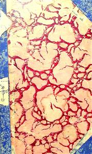 પોલ અને વરજીનિયા