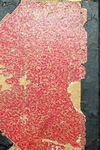 رنگیلا بھیدیہ