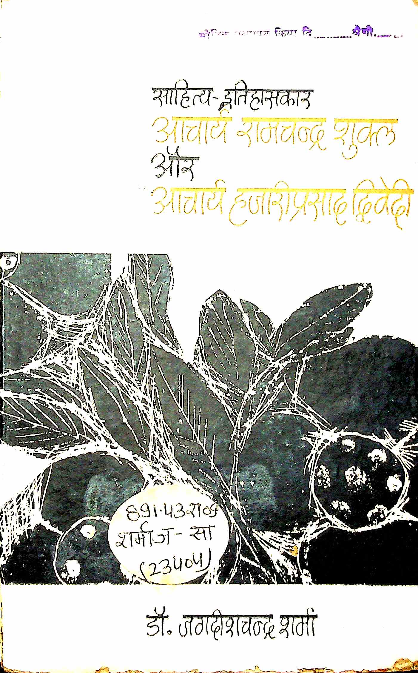 Sahitya-Itihashkar