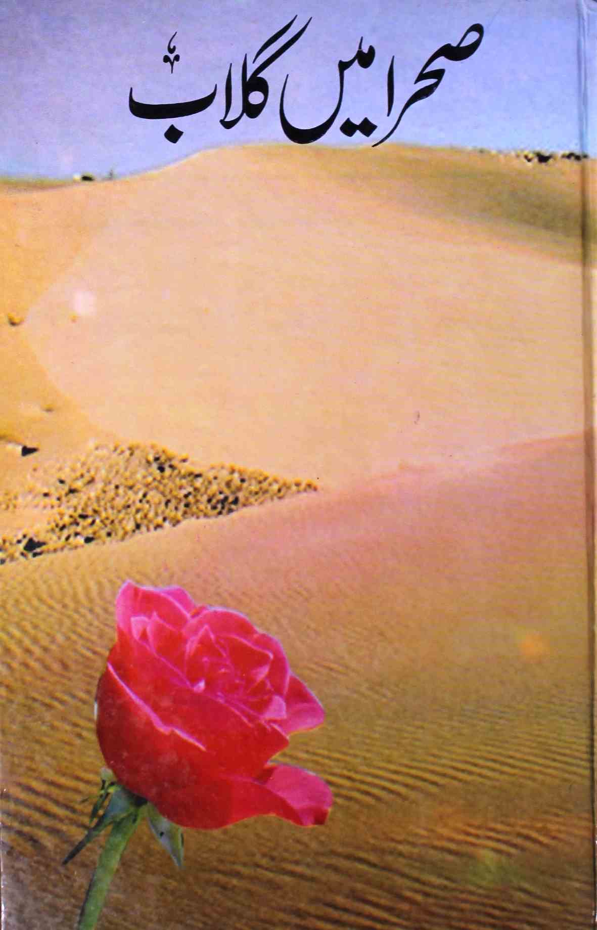 صحرا میں گلاب