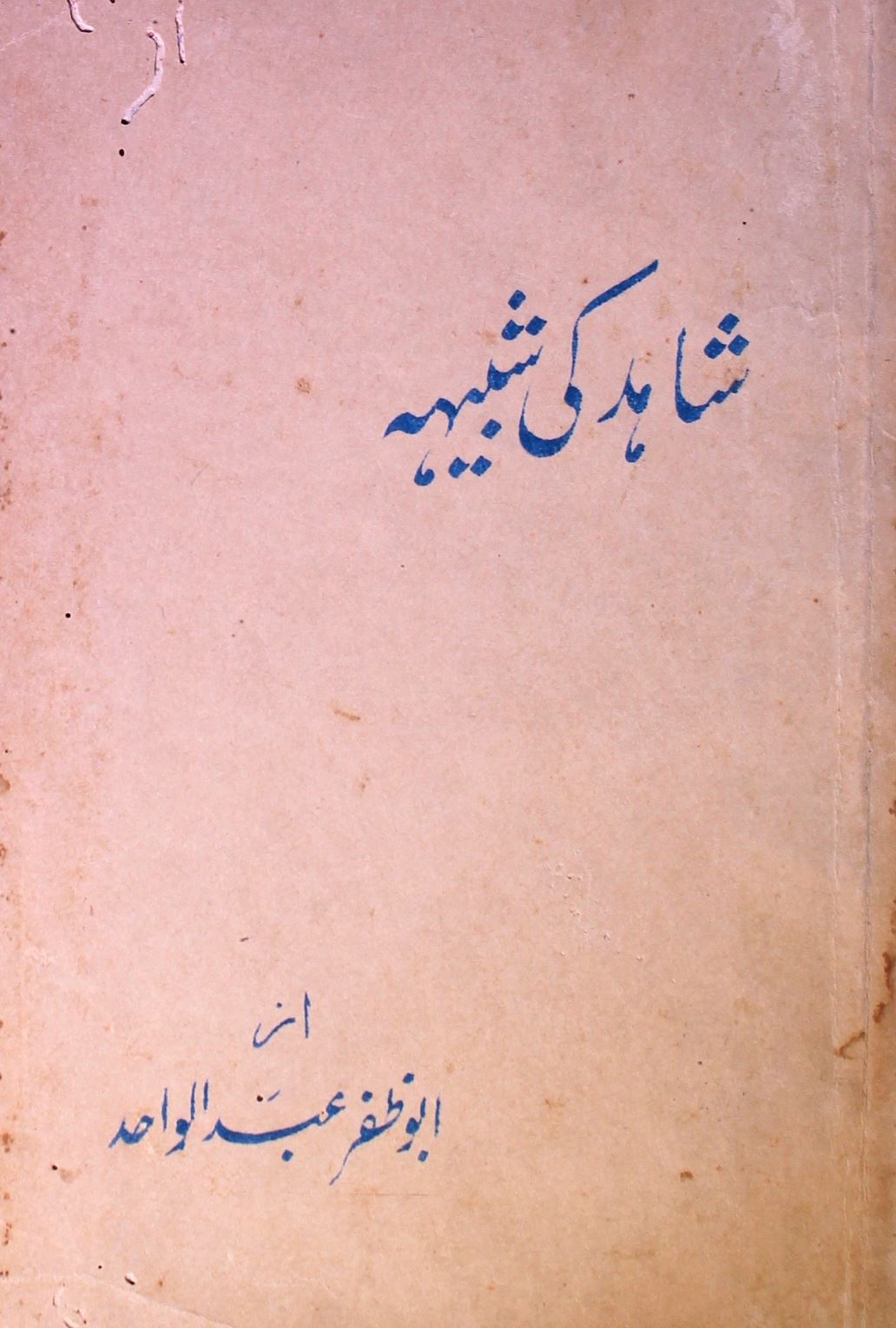 Shahid Ki Shabiha