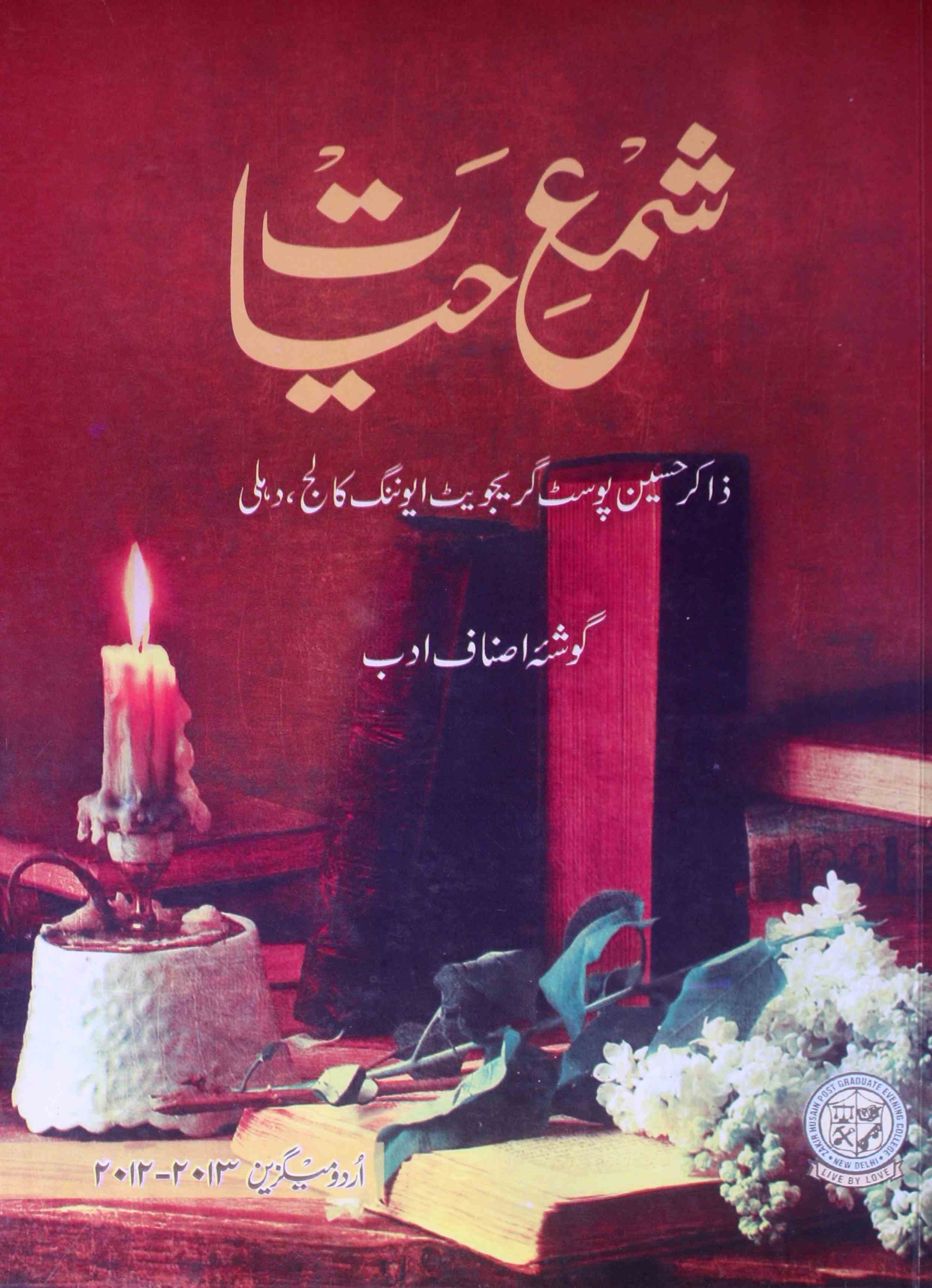 Shama e Hayat urdu magazine 2012-2013 AY2K