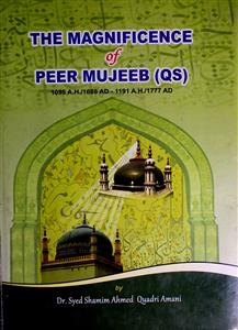 The Magnificence Of Peer Mujeeb (QS)