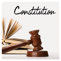 संविधान / आईन
