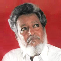 Noor Qureshi's Photo'