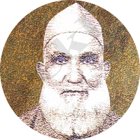 अफ़ज़ल हुसैन