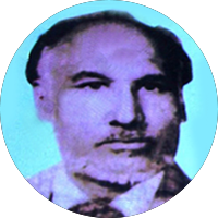 Hamid Hasan Shad