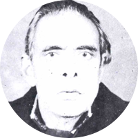 जामील मेहदी