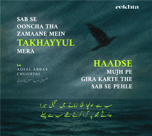 sab se uncha tha zamane mein taKHayyul mera