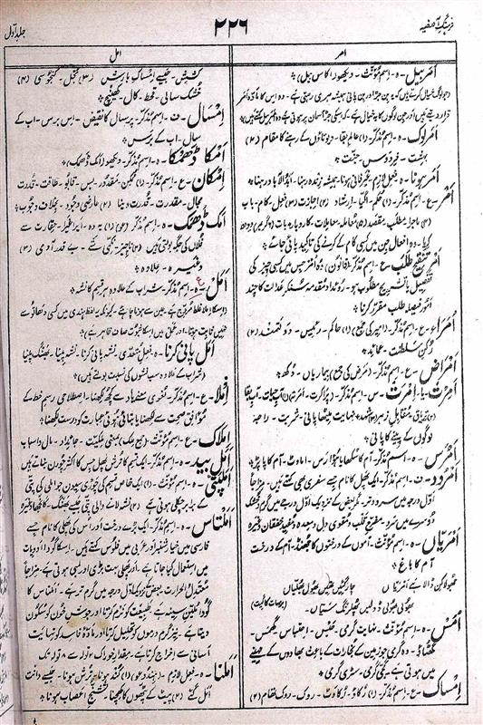 Traitors Meaning In Urdu, Baaghi باغی