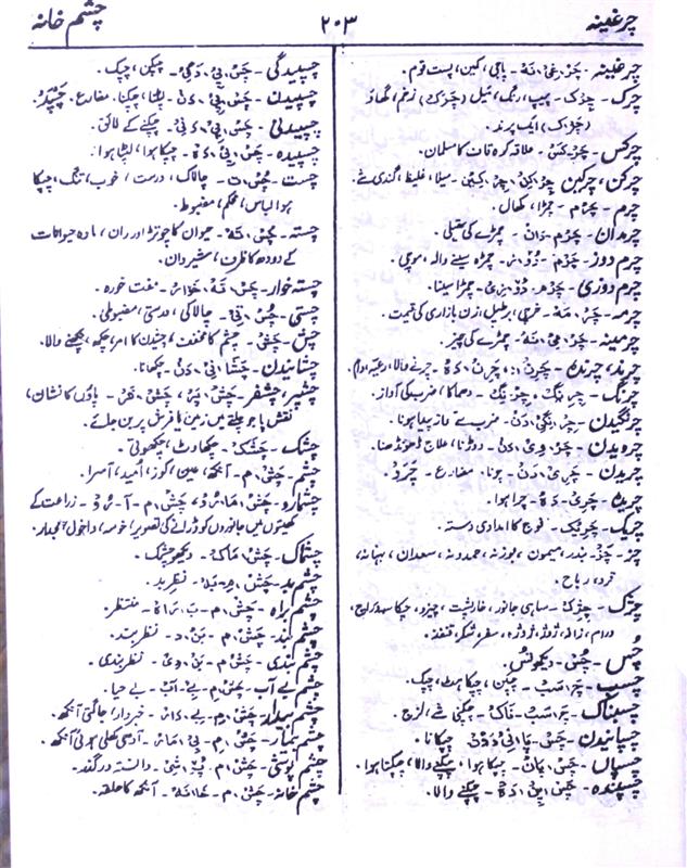 Capris Meaning In Urdu  Zanana,chust Gaodum Waza Ki Patlon زنانہ