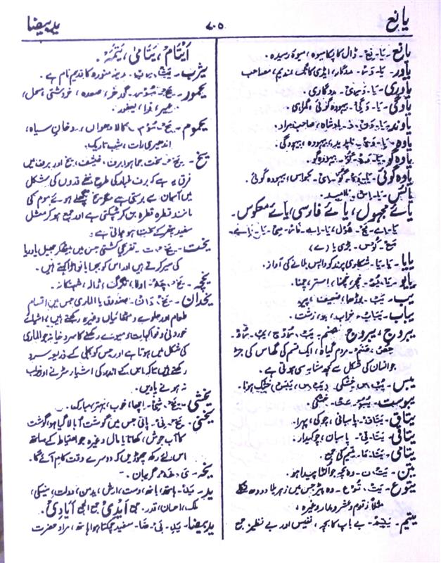 Blundered Meaning In Urdu, Fahash Ghalti فحاش غلطی