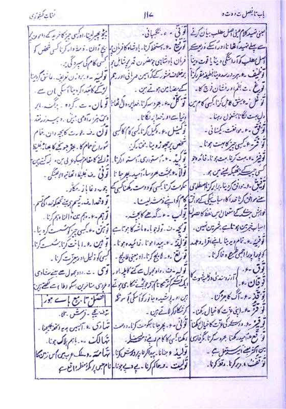 Meaning of ةىوز Rekhta