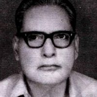 Syed Manzar Hasan Desnavi